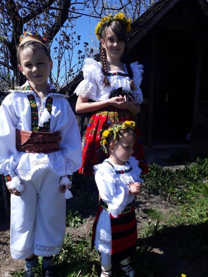Pensiunea Maria Sighetu Marmaţiei Εξωτερικό φωτογραφία